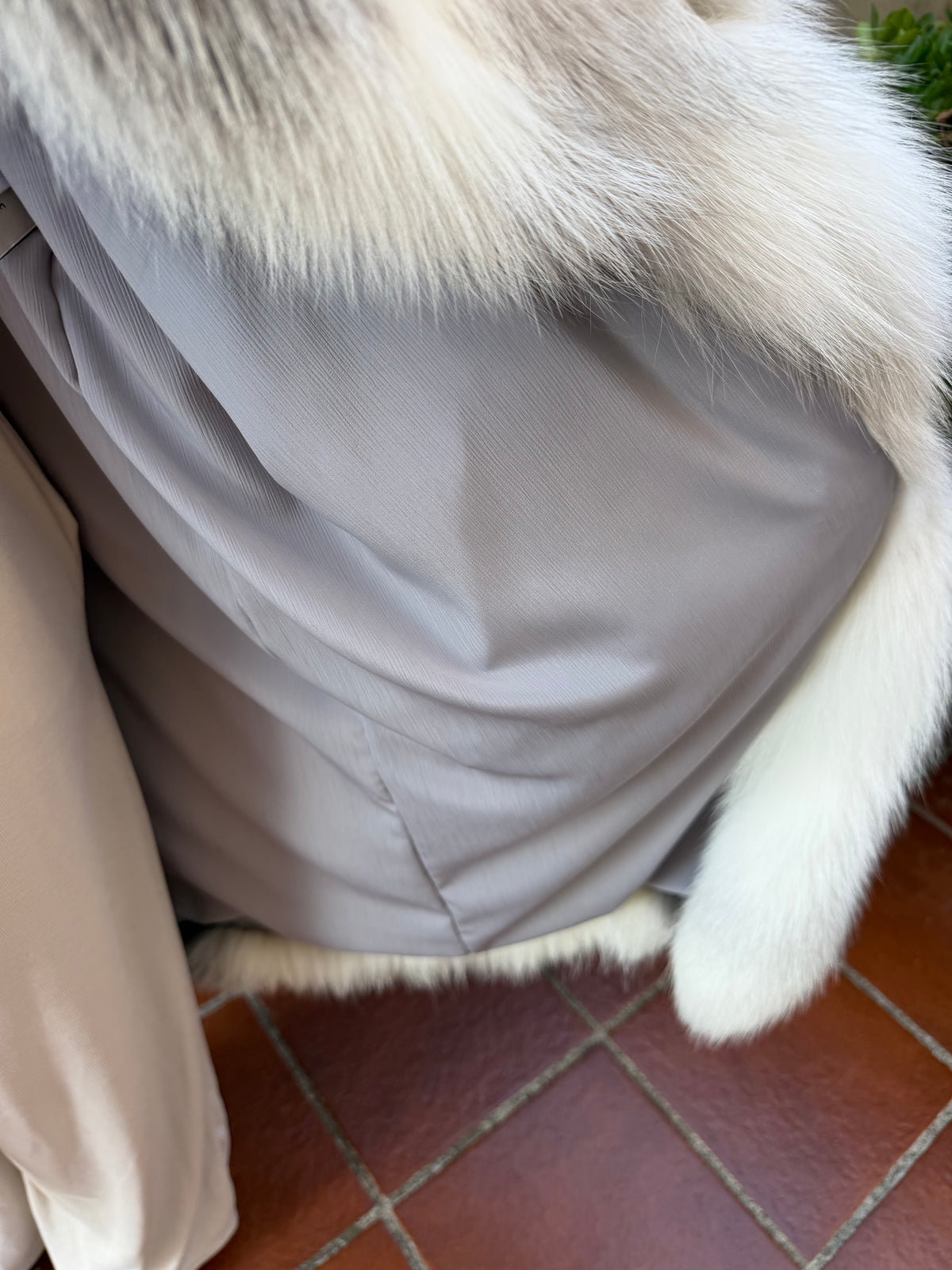 Veste en fourrure de renard neuve